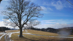 Bludný - Rajnochovice Troják