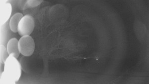 Bludný - Rajnochovice Troják - Bludný - Rajnochovice Troják - 24.2.2026 v 02:30 Bludný - Rajnochovice Troják - Bludný - Rajnochovice Troják - 24.2.2026 v 02:30