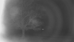 Bludný - Rajnochovice Troják - Bludný - Rajnochovice Troják - 24.2.2026 v 05:30 Bludný - Rajnochovice Troják - Bludný - Rajnochovice Troják - 24.2.2026 v 05:30