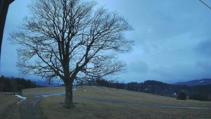 Bludný - Rajnochovice Troják - Bludný - Rajnochovice Troják - 24.2.2026 v 06:30 Bludný - Rajnochovice Troják - Bludný - Rajnochovice Troják - 24.2.2026 v 06:30