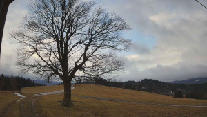 Bludný - Rajnochovice Troják - Bludný - Rajnochovice Troják - 24.2.2026 v 07:30 Bludný - Rajnochovice Troják - Bludný - Rajnochovice Troják - 24.2.2026 v 07:30