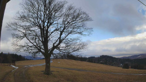 Bludný - Rajnochovice Troják - Bludný - Rajnochovice Troják - 24.2.2026 v 08:30 Bludný - Rajnochovice Troják - Bludný - Rajnochovice Troják - 24.2.2026 v 08:30