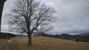 Bludný - Rajnochovice Troják - Bludný - Rajnochovice Troják - 24.2.2026 v 09:30 Bludný - Rajnochovice Troják - Bludný - Rajnochovice Troják - 24.2.2026 v 09:30