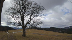 Bludný - Rajnochovice Troják