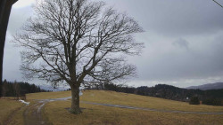 Bludný - Rajnochovice Troják