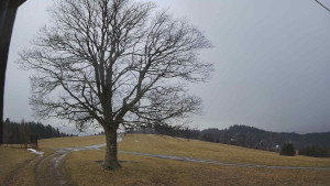 Bludný - Rajnochovice Troják - Bludný - Rajnochovice Troják - 24.2.2026 v 13:30 Bludný - Rajnochovice Troják - Bludný - Rajnochovice Troják - 24.2.2026 v 13:30