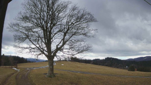 Bludný - Rajnochovice Troják - Bludný - Rajnochovice Troják - 24.2.2026 v 14:30 Bludný - Rajnochovice Troják - Bludný - Rajnochovice Troják - 24.2.2026 v 14:30