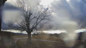 Bludný - Rajnochovice Troják - Bludný - Rajnochovice Troják  - 24.2.2026 v 15:00