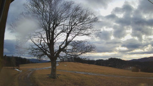 Bludný - Rajnochovice Troják - Bludný - Rajnochovice Troják - 24.2.2026 v 17:30 Bludný - Rajnochovice Troják - Bludný - Rajnochovice Troják - 24.2.2026 v 17:30