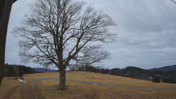 Bludný - Rajnochovice Troják