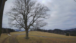 Bludný - Rajnochovice Troják 