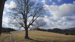 Bludný - Rajnochovice Troják