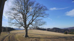 Bludný - Rajnochovice Troják