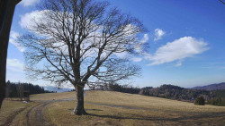 Bludný - Rajnochovice Troják 