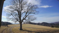 Bludný - Rajnochovice Troják