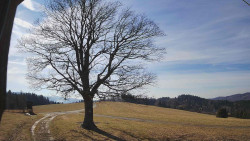 Bludný - Rajnochovice Troják 