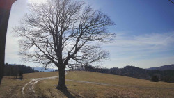 Bludný - Rajnochovice Troják 