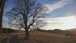 Bludný - Rajnochovice Troják