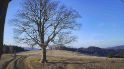 Bludný - Rajnochovice Troják