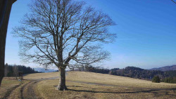 Bludný - Rajnochovice Troják