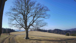 Bludný - Rajnochovice Troják