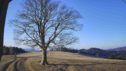 Bludný - Rajnochovice Troják