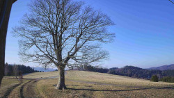 Bludný - Rajnochovice Troják