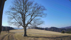 Bludný - Rajnochovice Troják 