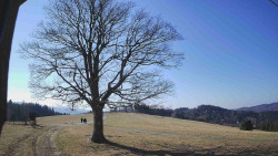 Bludný - Rajnochovice Troják