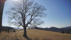 Bludný - Rajnochovice Troják