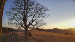 Bludný - Rajnochovice Troják