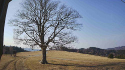 Bludný - Rajnochovice Troják 