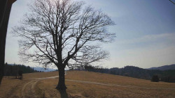 Bludný - Rajnochovice Troják 