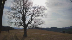 Bludný - Rajnochovice Troják 