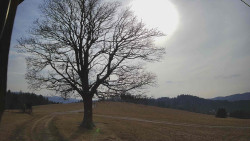 Bludný - Rajnochovice Troják