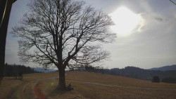 Bludný - Rajnochovice Troják 