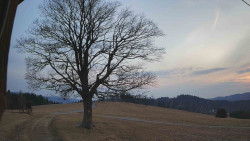 Bludný - Rajnochovice Troják 