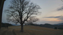 Bludný - Rajnochovice Troják