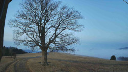 Bludný - Rajnochovice Troják