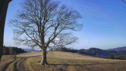 Bludný - Rajnochovice Troják 