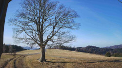 Bludný - Rajnochovice Troják 