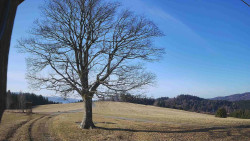 Bludný - Rajnochovice Troják 