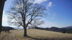 Bludný - Rajnochovice Troják 