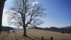 Bludný - Rajnochovice Troják