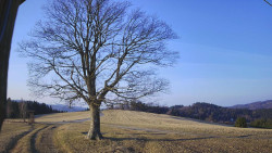 Bludný - Rajnochovice Troják 