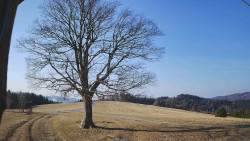 Bludný - Rajnochovice Troják