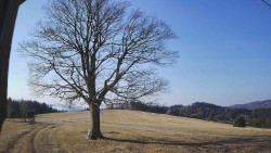 Bludný - Rajnochovice Troják