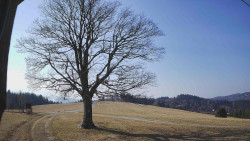 Bludný - Rajnochovice Troják