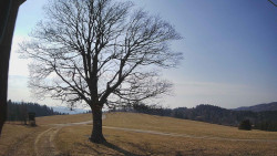 Bludný - Rajnochovice Troják 