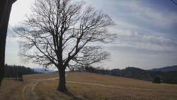 Bludný - Rajnochovice Troják